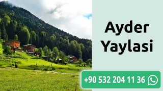 Ayder Yaylasi